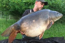 Gav Last 51lbs Mirror (Les Teillatts France)